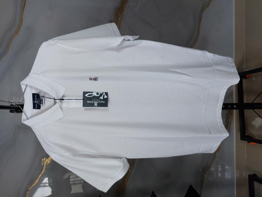polo-psycho bunny-XXL20241214_153042.jpg